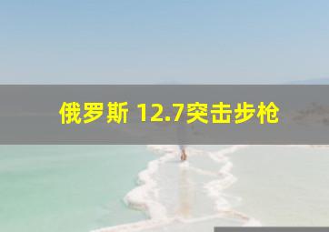 俄罗斯 12.7突击步枪